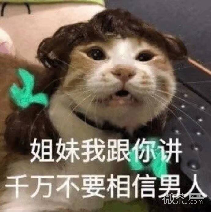 微信近期斗图恶个表情包2019/1/15
