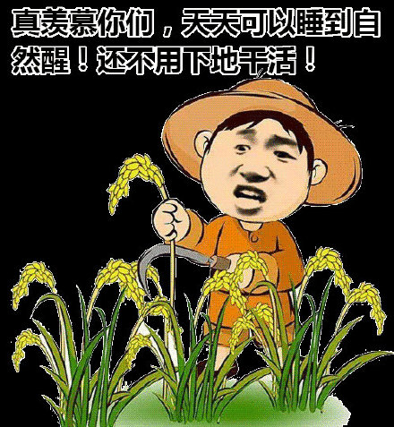 微信近期斗图恶搞表情包2019/1/15（二）