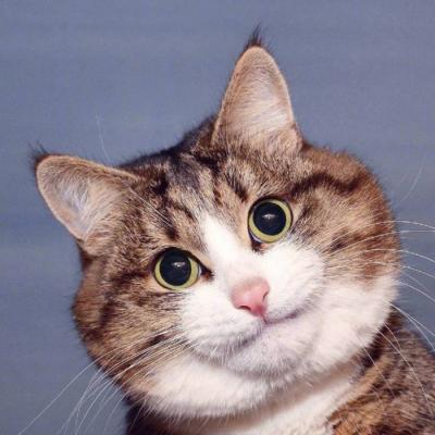 微信非主流恶搞头像