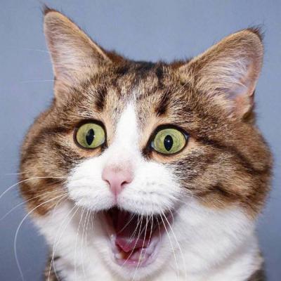 微信非主流恶搞头像