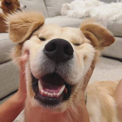 微信非主流恶搞头像