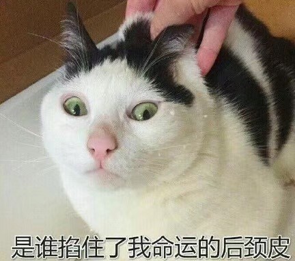 微信近期斗图恶搞表情包2019/1/16（二）