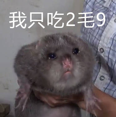 微信近期斗图恶搞表情包2019/1/16（二）