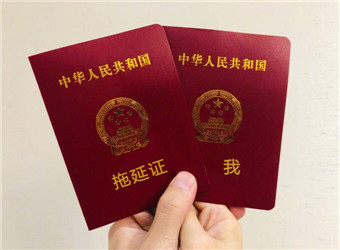抖音热门结婚证微信恶搞表情包