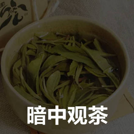 微信近期斗图恶搞表情包2019/1/16（二）