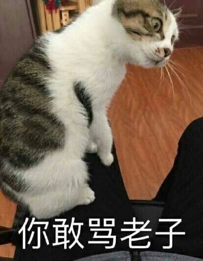 微信近期斗图恶搞表情包2019/1/17（二）