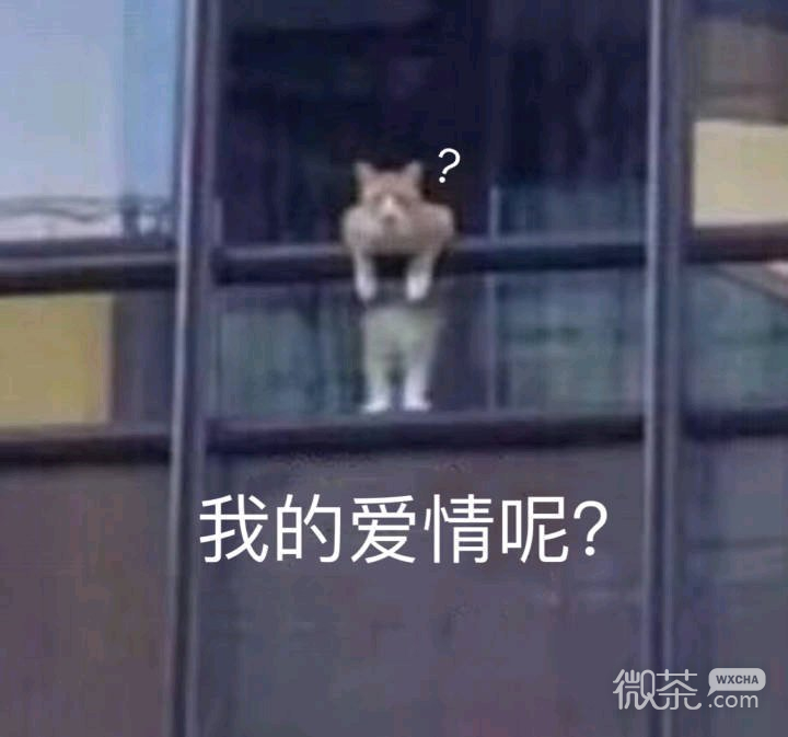 微信近期斗图恶搞表情包2019/1/17