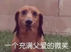 微信近期斗图恶搞表情包2019/1/17（二）
