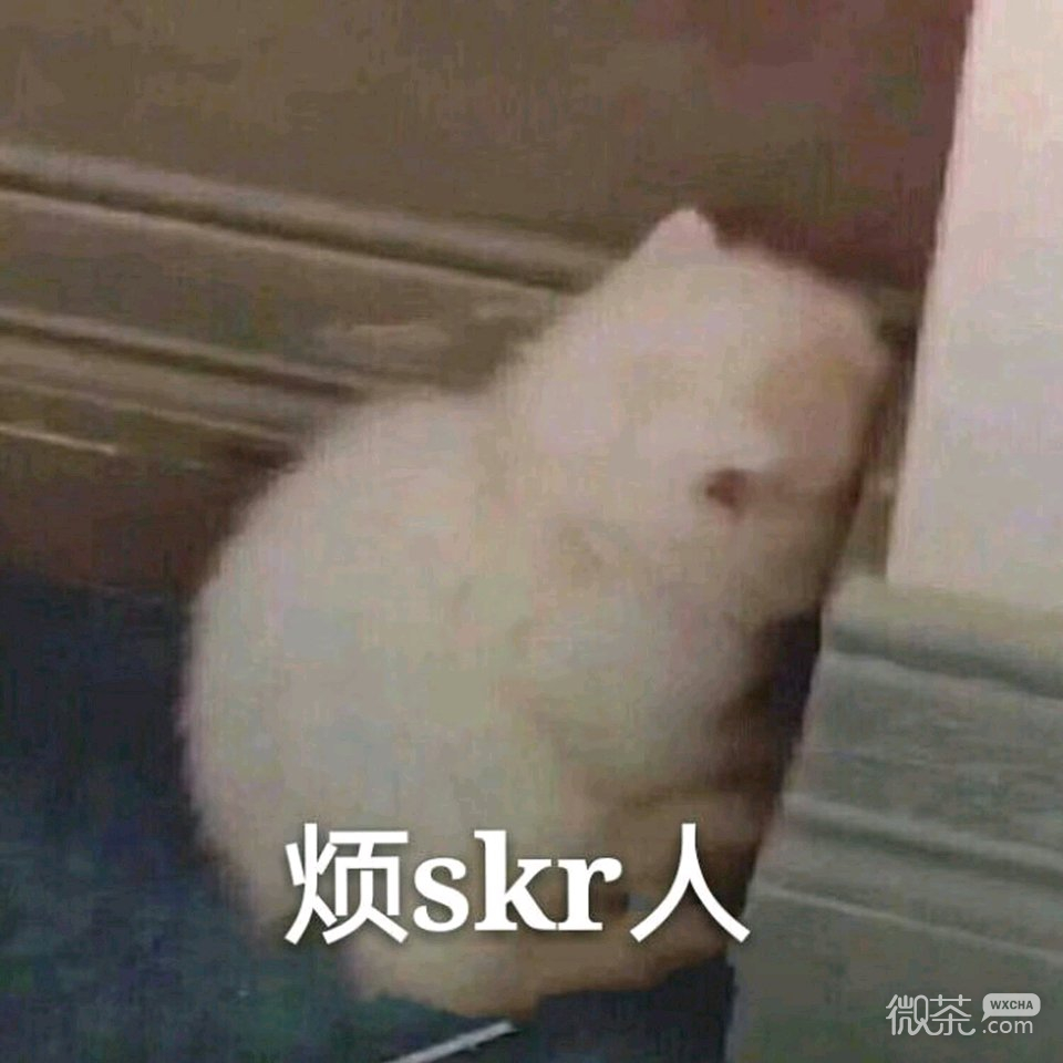气到哭泣微信喵星人恶搞表情包