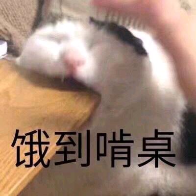 气到哭泣微信喵星人恶搞表情包