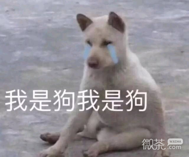 微信近期斗图恶搞表情包2019/1/17