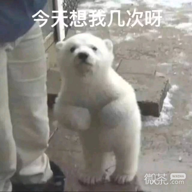 微信近期斗图恶搞表情包2019/1/17