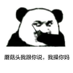 微信搞笑熊猫头斗图表情包