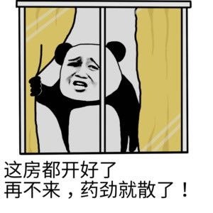 都是人才熊猫头微信恶搞表情包