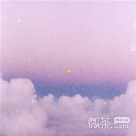 微信唯美粉嫩风景静物朋友圈配图