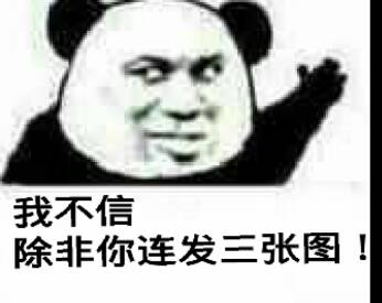 微信搞笑熊猫头斗图表情包