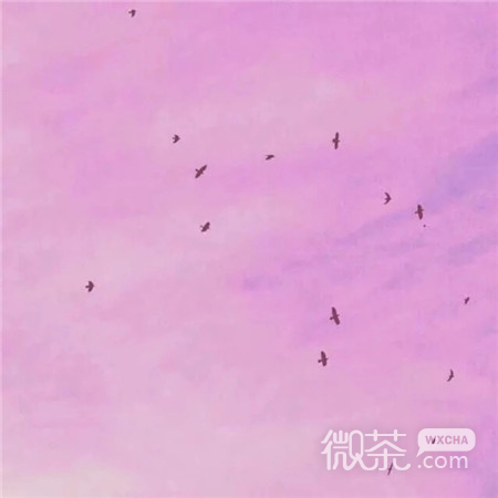 微信唯美粉嫩风景静物朋友圈配图