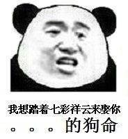 微信搞笑熊猫头斗图表情包