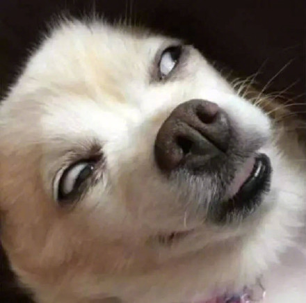 微信恶搞白眼表情包