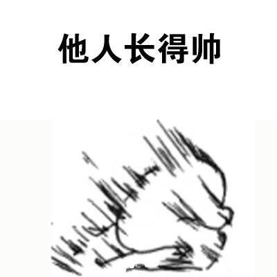 别人在你面前，说你爱豆坏话时你的反应微信恶搞表情包