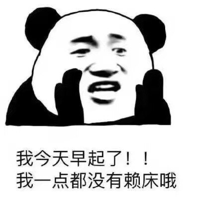 b数微信熊猫头恶搞表情包