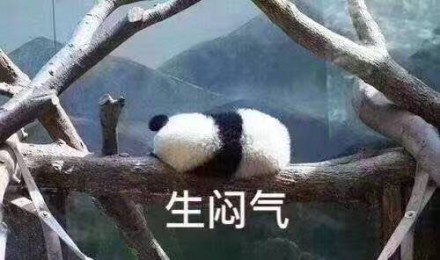 微信熊猫头撕逼表情包
