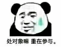 恶搞微信逗比熊猫头斗图表情包