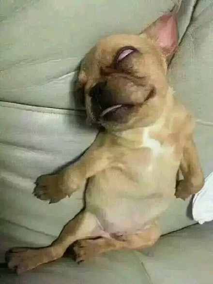 微信恶搞白眼表情包