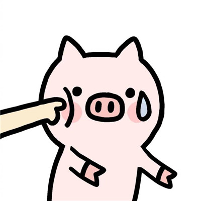 可爱小猪微信头像
