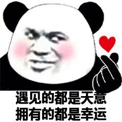 你在放屁微信熊猫头恶搞表情包