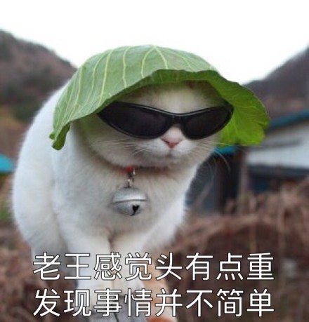 开始自闭微信恶搞喵星人表情包