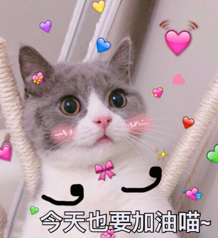微信恶搞安详喵星人表情包
