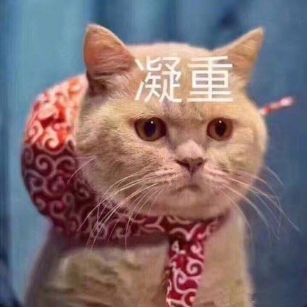 微信超萌喵星人表情包