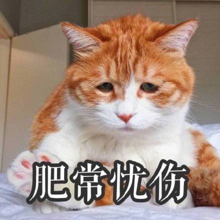 开始自闭微信恶搞喵星人表情包