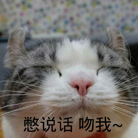 微信可爱萌萌哒喵星人表情包
