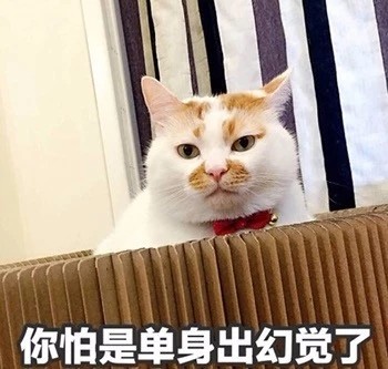 开始自闭微信恶搞喵星人表情包