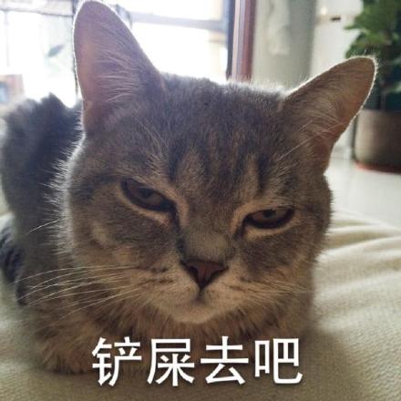 微信恶搞安详喵星人表情包