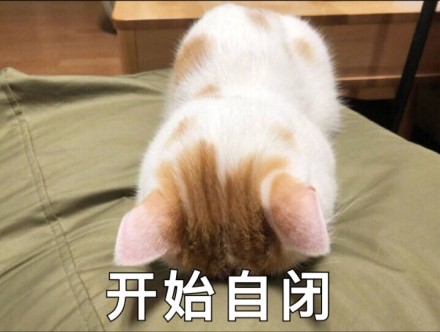微信超萌喵星人表情包