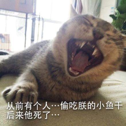 微信恶搞安详喵星人表情包