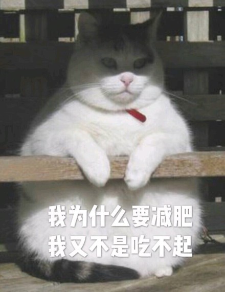 微信恶搞安详喵星人表情包