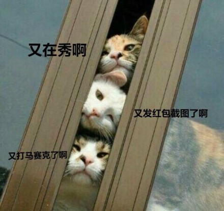 微信恶搞安详喵星人表情包