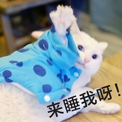 微信可爱萌萌哒喵星人表情包
