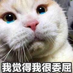微信可爱萌萌哒喵星人表情包