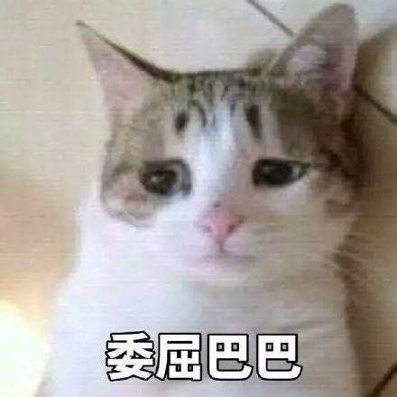 微信超萌喵星人表情包