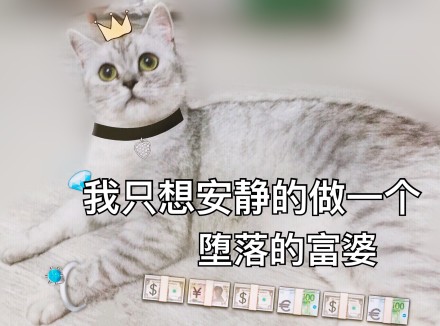 微信可爱萌萌哒喵星人表情包