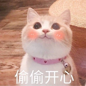 微信可爱萌萌哒喵星人表情包