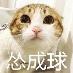 开始自闭微信恶搞喵星人表情包