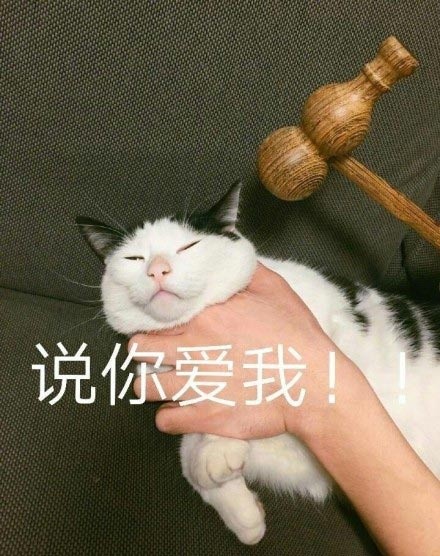 微信可爱萌萌哒喵星人表情包