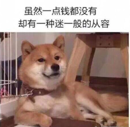开始自闭微信恶搞喵星人表情包