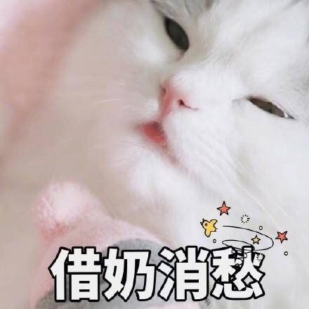 开始自闭微信恶搞喵星人表情包